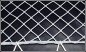 Ultra Pro Netting with Rope Border on F-22 Wing