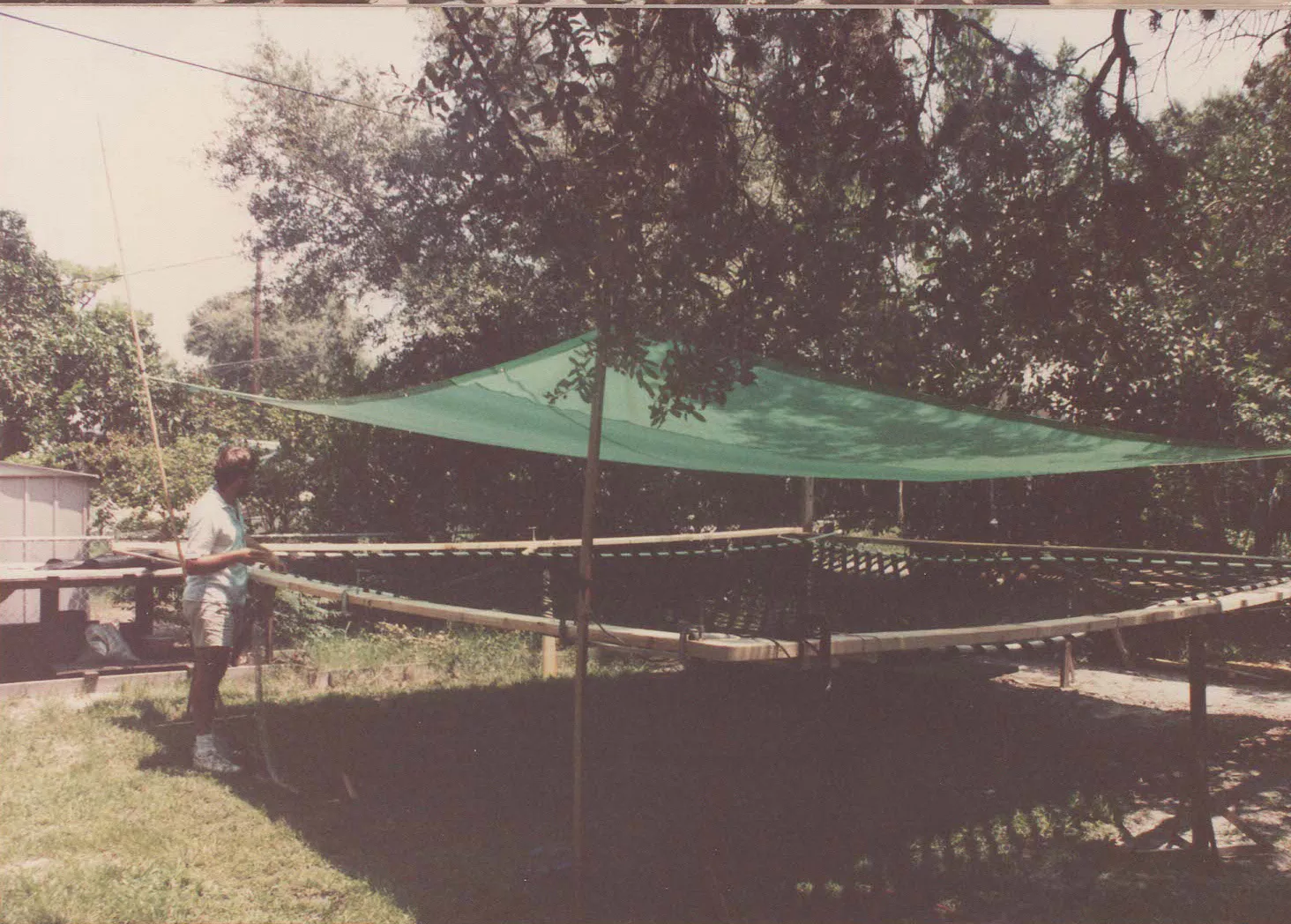 back yard working with a net