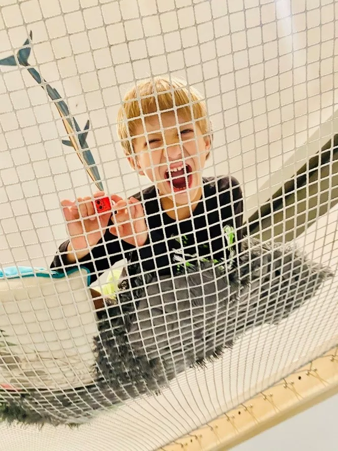 Kid playing on loft net in house