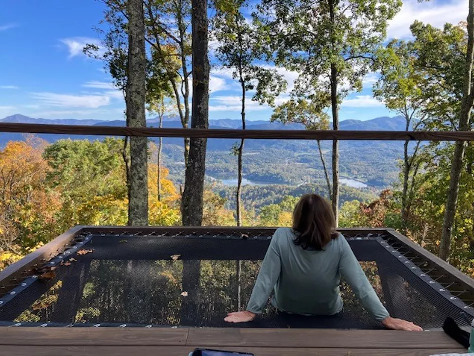 Architectural Net overlooking a forest