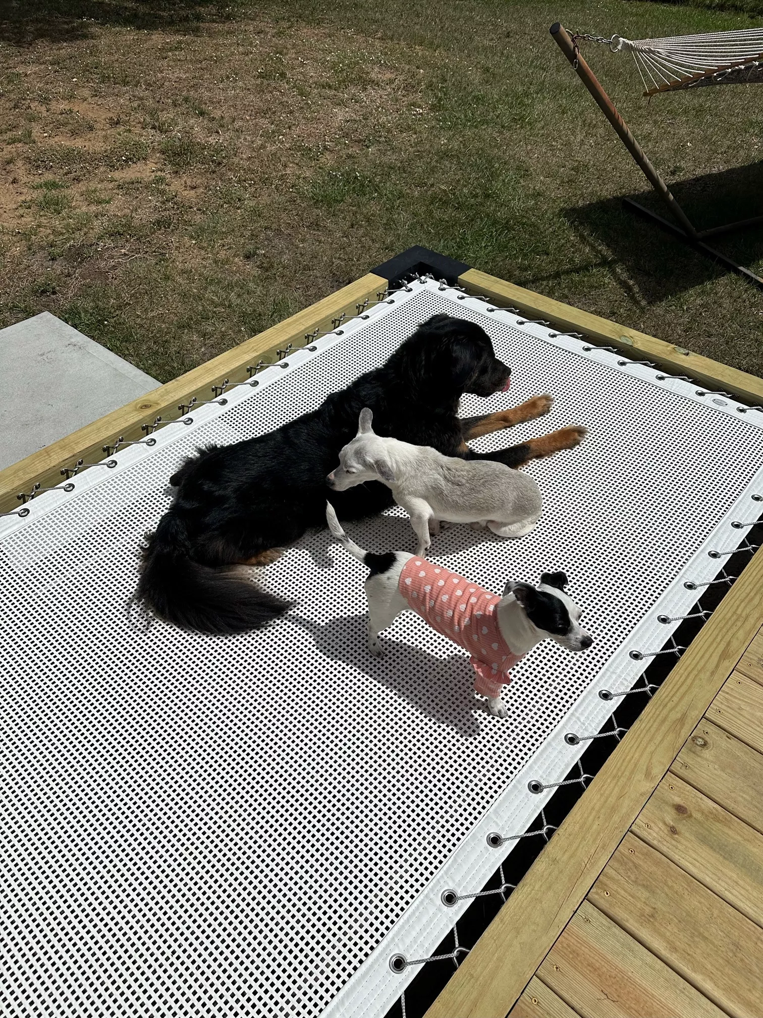 Customer Fabricated Garden Bed with Square Hole Mesh