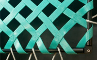 Web Loops Border